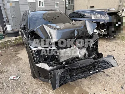 2024, Kia / Sorento, hybrid, 1600 куб.см. 2024, Kia / Sorento, hybrid, 1600 куб.см.