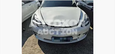 2020, Tesla / Model 3, 110000 км., electric, 225 куб.см. 2020, Tesla / Model 3, 110000 км., electric, 225 куб.см.