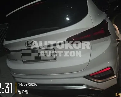 2019, Hyundai / Santa FE, 96291 км., diesel, 1995 куб.см. 2019, Hyundai / Santa FE, 96291 км., diesel, 1995 куб.см.