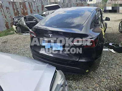 2025, Tesla / Model Y, electric 2025, Tesla / Model Y, electric