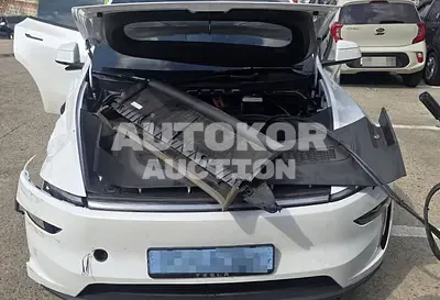 2025, Tesla / Model Y, electric 2025, Tesla / Model Y, electric