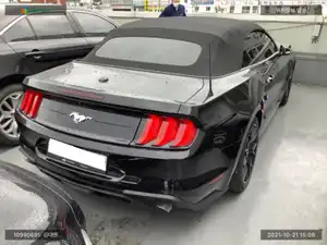 2019, Ford / Mustang, VIN: 1FATP8UH4K5137817, 0 км., gas, 0 куб.см.