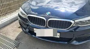 2018, BMW / 520, VIN: WBAJC3107JDA33843, 72000 км., diesel, 1995 куб.см.