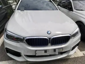 2019, BMW / 530, VIN: WBAJD310XKB318141, 100000 км., gas, 0 куб.см.