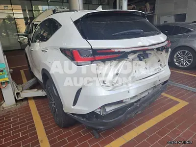 2023, Lexus / nx450h+, hybrid 2023, Lexus / nx450h+, hybrid
