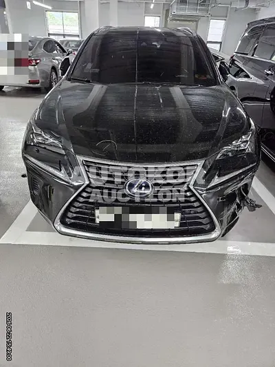 2018, Lexus / nx300h, 54560 км., hybrid 2018, Lexus / nx300h, 54560 км., hybrid